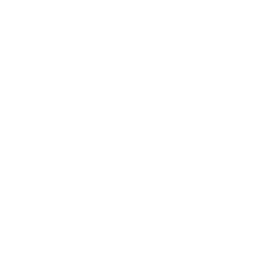 Visión Total
